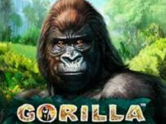 Игровой автомат Gorilla (Горила) играть бесплатно онлайн и без регистрации в казино Вулкан Платинум