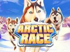 Игровой автомат Arctic Race (Арктическая Гонка) играть бесплатно онлайн и без регистрации в казино Вулкан Platinum
